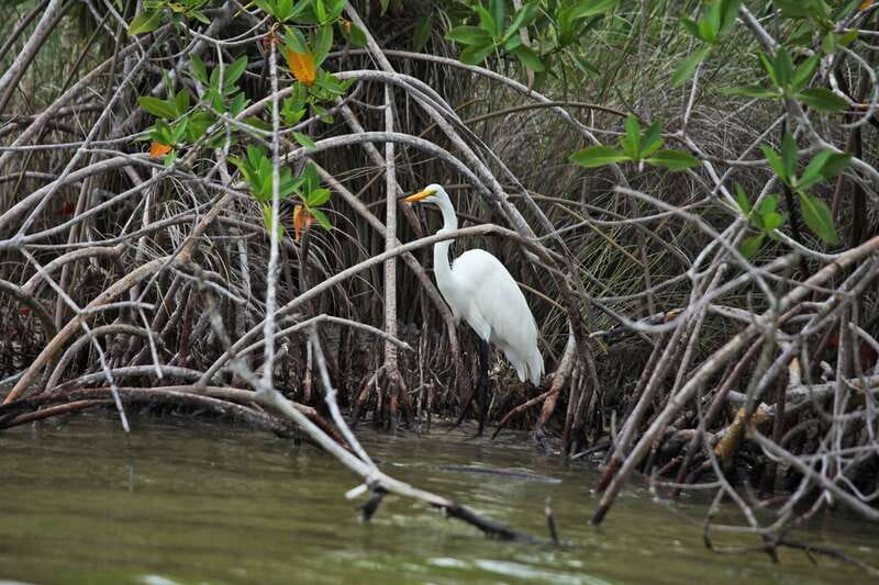 From Riviera Maya: Sian Ka'an Half Day Tour w/ Lunch - Sian Ka’an from Tulum: what you’ll really experience