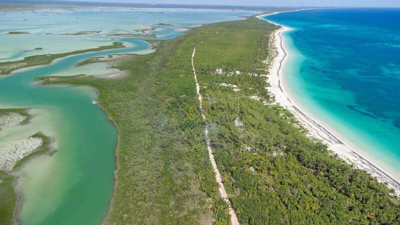 From Riviera Maya: Sian Ka'an Half Day Tour w/ Lunch - Lunch breaks: regional food plus the rhythm you need
