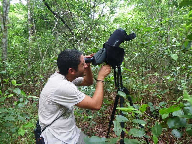 From Riviera Maya : Sian Ka'an Muyil Birdwatching with Guide - Price and Logistics: What $119 Buys (and What It Doesn’t)