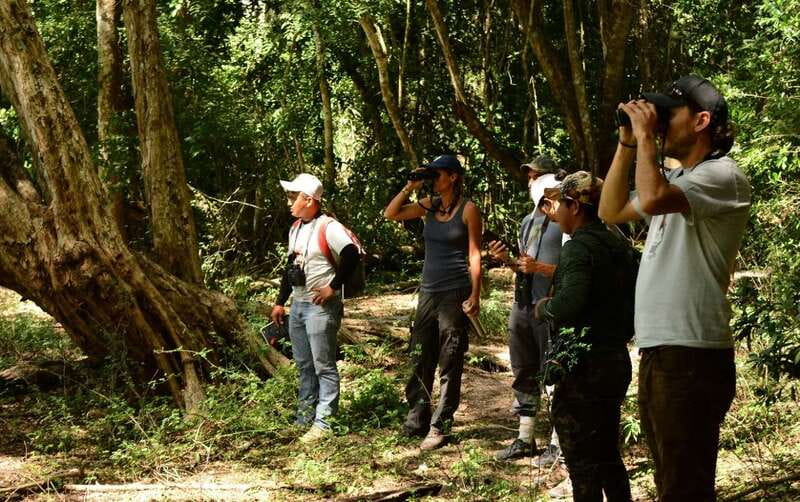 From Riviera Maya : Sian Ka'an Muyil Birdwatching with Guide - Optional Floatation Add-On: When the Extra $75 Makes Sense