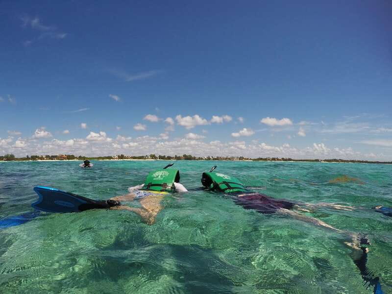 From Riviera Maya: Snorkeling & Private Cenote Half-Day Tour - FAQ