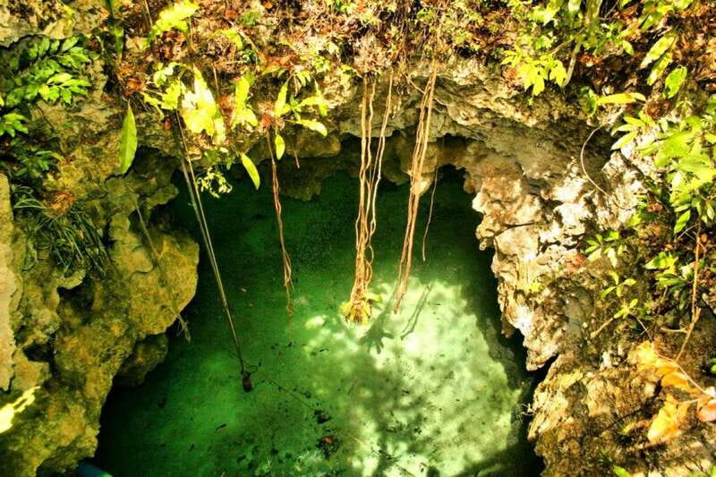 From Riviera Maya: Snorkeling & Private Cenote Half-Day Tour - Snorkeling in the Caribbean reef: fish, squid, rays, lobsters, and turtle chances