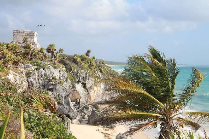 From Riviera Maya : Tulum Ruins, Cenotes & Jungle Adventure - The jungle walk between stops: where the in-between matters