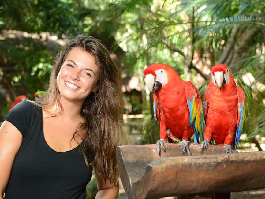 From Riviera Maya: Xcaret Park All-Inclusive - Tickets, Pick-Up, and Why the Voucher Is Non-Negotiable
