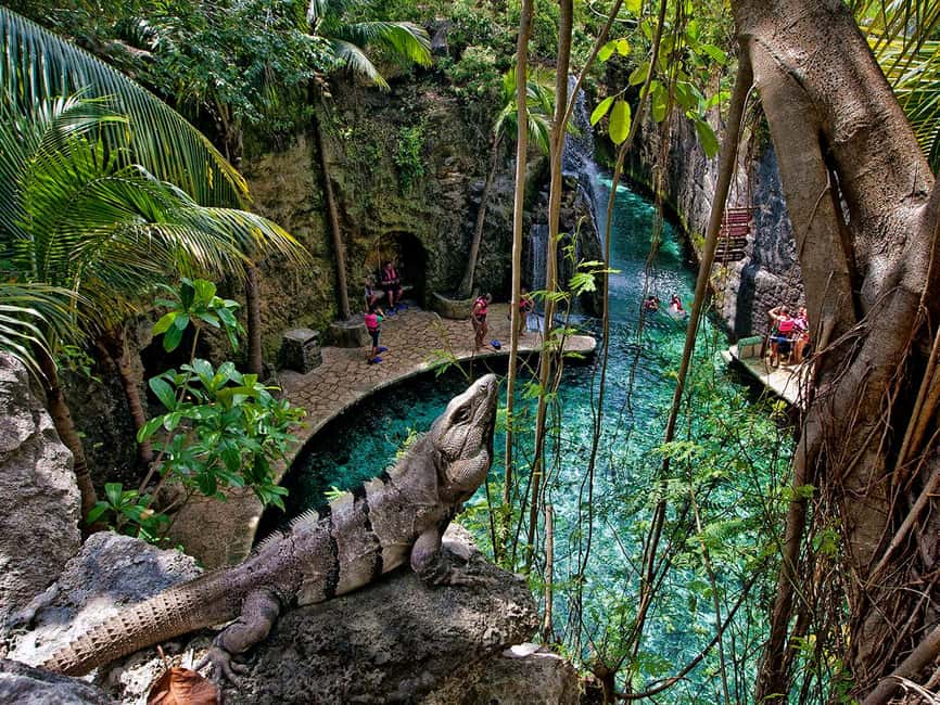 From Riviera Maya: Xcaret Park All-Inclusive - Coral Reef Aquarium, Butterfly Garden, and Aviary (Great for Breaks)