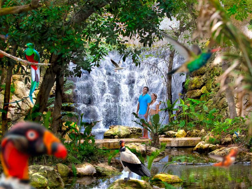 From Riviera Maya: Xcaret Park All-Inclusive - Beaches and Natural Pools: Where You’ll Actually Want to Spend Time