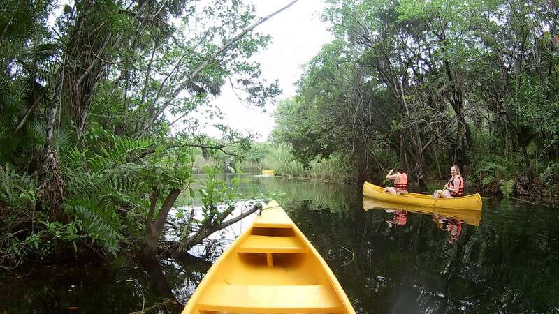 From Tulum: Four-Cenote Adventure - Pirañas Cenote: swimming again, with a different mood