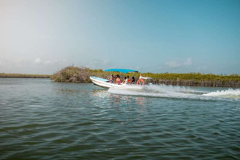 From Tulum: Sian Kaan Boat Trip Adventure with Lunch - Who this Sian Ka’an boat trip suits best