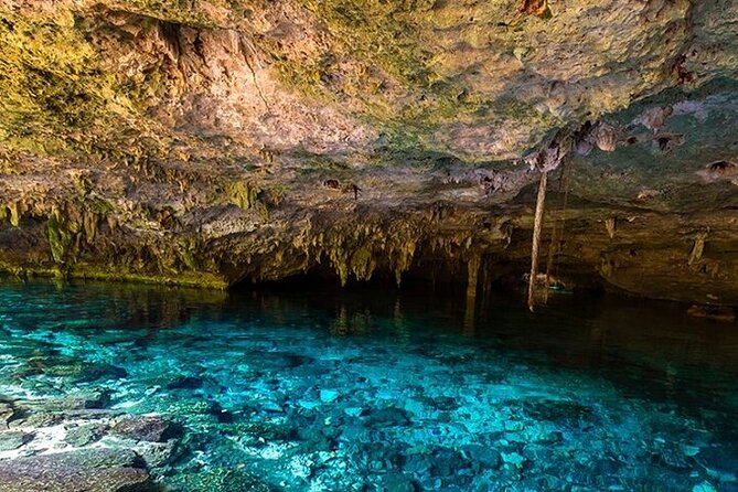Full Day Adventure: Horses , ATV, Ziplines & Cenote w/Lunch - ATV Riding Through Tulum’s Terrain: What to Expect