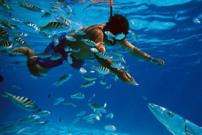 Full-Day Catamaran Cozumel Tour with Sky Snorkeling - Key Highlights Worth Your Time