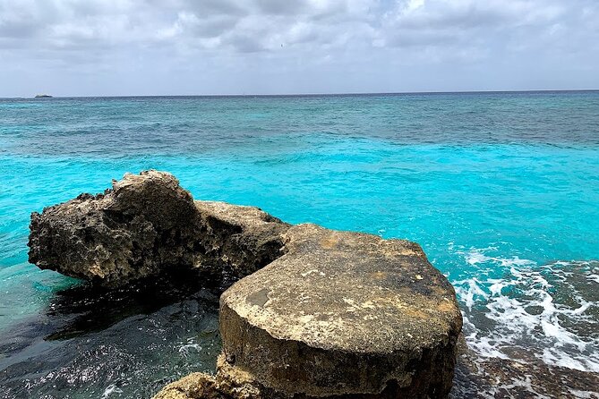 Full-Day Catamaran Cozumel Tour with Sky Snorkeling - Lunch at Casa Luum / Luz Restaurant: Set Menu, Open Bar, Real Seating Time