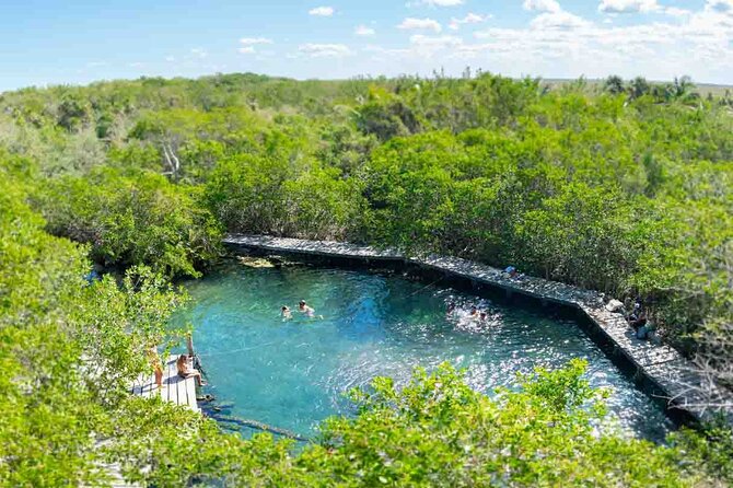 Full Day Excursion to the Best of Holbox From Riviera Maya - Holbox Island Free Time: Beaches, Wildlife Odds, and Your Own Pace
