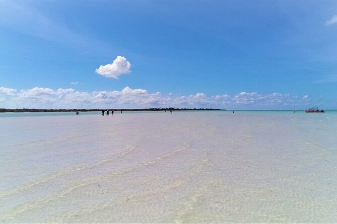 Full Day Excursion to the Best of Holbox From Riviera Maya - Punta Mosquito: The Swim-Friendly Break for Lunchy Energy