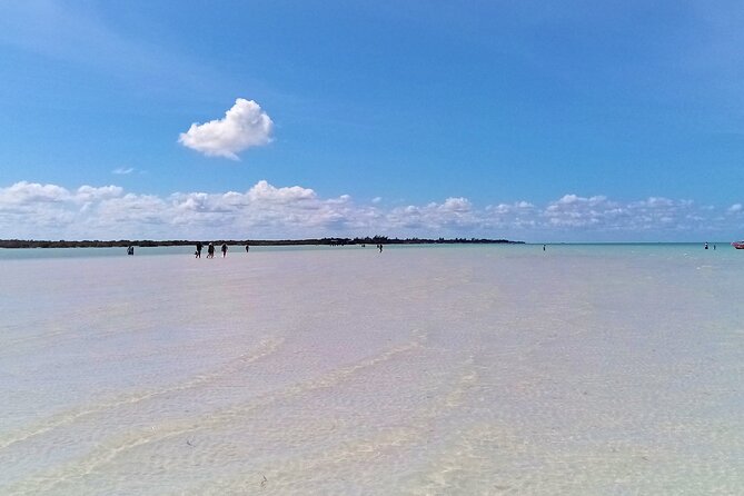 Full Day Excursion to the Best of Holbox From Riviera Maya - Yalahau Lagoon and Ojo de Agua: Swimming Right When You Need a Reset