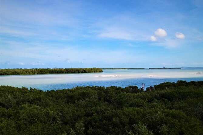 Full Day Excursion to the Best of Holbox From Riviera Maya - Lunch on the Water: Ceviche, Baguette, Salad, and Drinks Where You Want Them