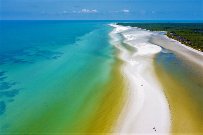 Full Day Excursion to the Best of Holbox From Riviera Maya - Isla de la Pasion: Short Bird Watching With Island Walk Energy