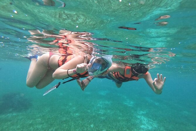 Full Day Guided Tour to Sian Ka'an (short way) - Inside the Biosphere: Wildlife, Reefs, and Birdlife Time
