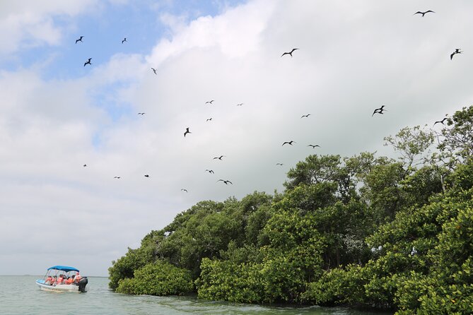 Full Day Guided Tour to Sian Ka'an (short way) - Lunch in a Fishing Village: Local Fuel Without the Detour