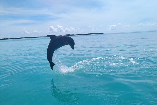 Full Day Guided Tour to Sian Ka'an (short way) - Pacing, Timing, and the Weather Reality Check