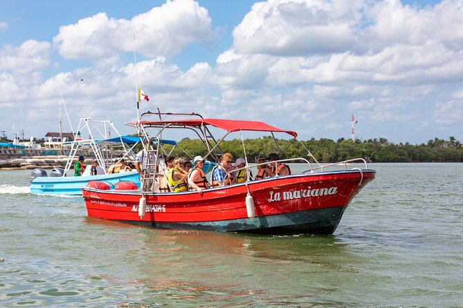 Full-Day Holbox Island Boat and Buggy Tour with Lunch - Eco resort lunch and sun loungers: included, but quality varies