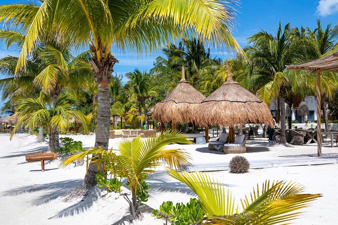 Full-Day Holbox Island Boat and Buggy Tour with Lunch - Holbox by golf buggy: bumpy rides, quick exploration, real town time