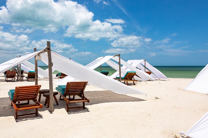 Full-Day Holbox Island Boat and Buggy Tour with Lunch - Private boat time on the water: Isla Pasion and Punta Coco
