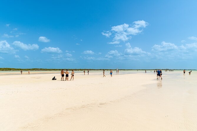 Full Day Holbox Island Tour from Playa del Carmen with Lunch - Key highlights worth knowing