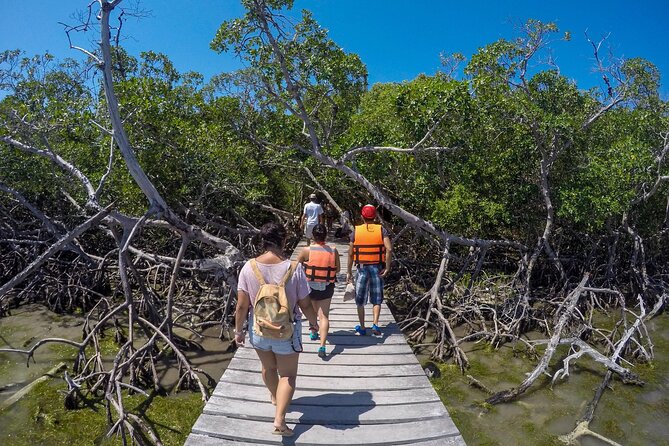 Full Day Holbox Island Tour from Playa del Carmen with Lunch - Stop 2: Punta Mosquito for calm nature time