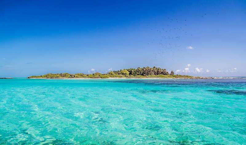 Full Day Nature Expedition to Contoy Island and Isla Mujeres - Timing reality: short stops mean you should plan like a minimalist