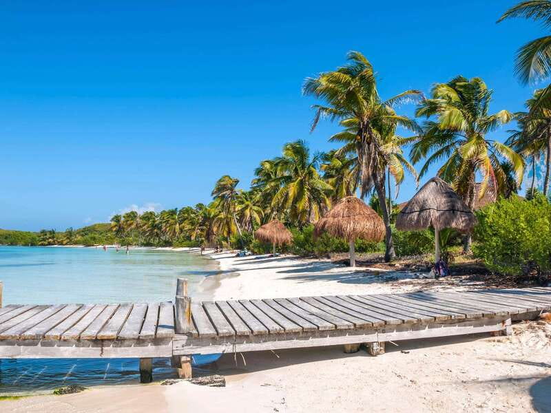 Full Day Nature Expedition to Contoy Island and Isla Mujeres - Contoy Island: bird watching plus swim-and-snorkel water