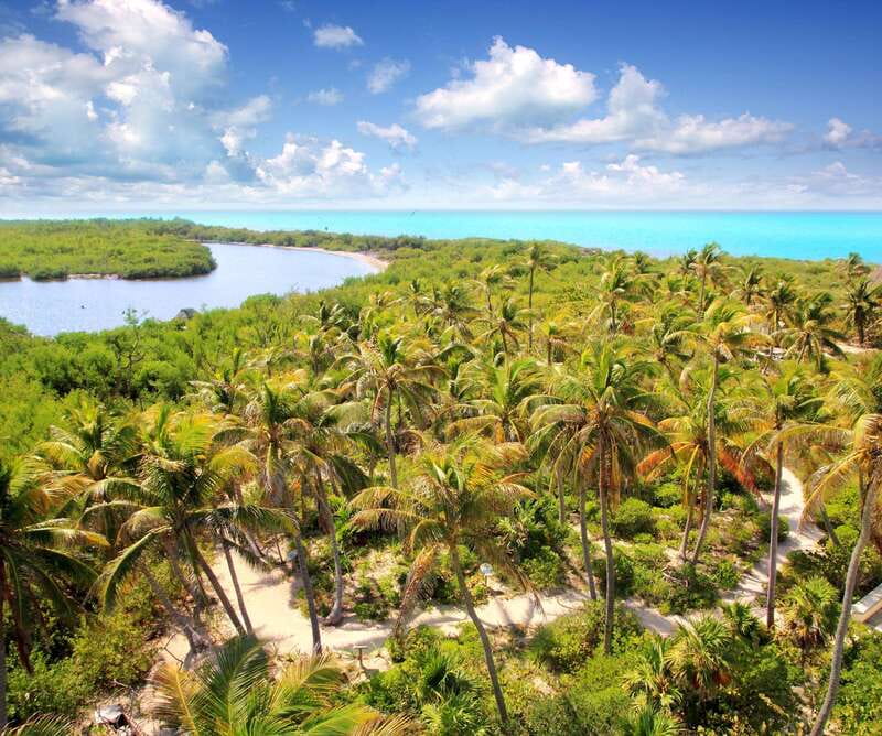 Full Day Nature Expedition to Contoy Island and Isla Mujeres - Isla Mujeres visit: one hour to wander, shop, and grab a drink