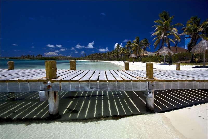Full Day Nature Expedition to Contoy Island and Isla Mujeres - Getting there from Cancun and the Riviera Maya: pickup + van pace