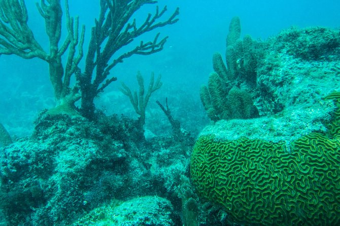 Full-Day Sailing Trip to Mujeres Island from Playa del Carmen - Price and What It Really Buys You