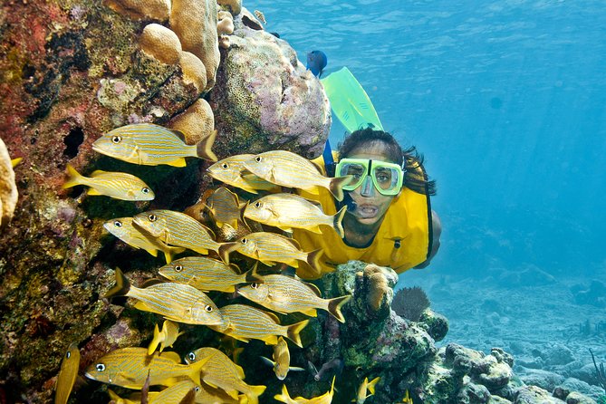 Full-Day Snorkel Extreme Adventure Tour from Riviera Maya - Early Start From Playa del Carmen: How the Timing Works