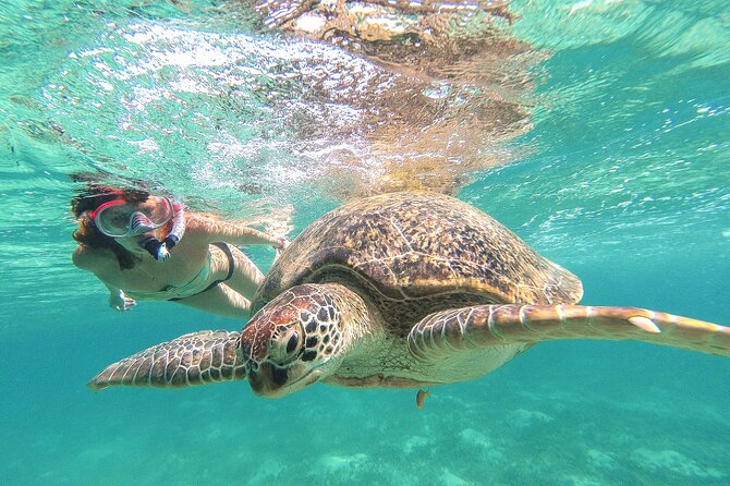 Full Day Tour to Tulum Cenote and Swim with Turtles in Akumal - Key things to know before you go