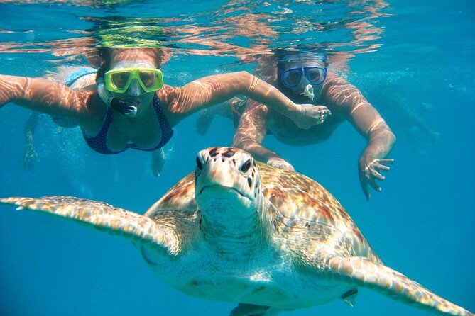 Full-dayTurtle Adventure: ATV, Zipline, Cenote & Turtle Swim - Why this Tulum adventure tour works as a full-day plan