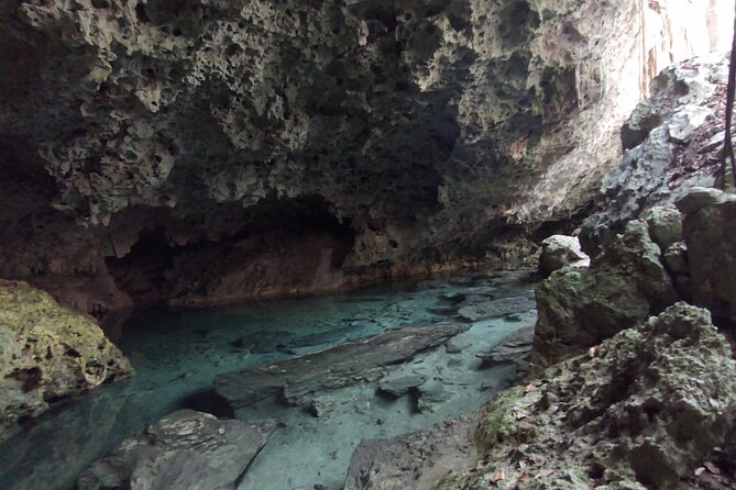 Full-dayTurtle Adventure: ATV, Zipline, Cenote & Turtle Swim - Zip lines and wall rappelling: where limits matter