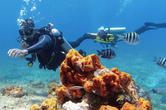 Fun Dive Machine in Playa del Carmen or Cozumel-For Certificates - Your 4-Hour Underwater Schedule (What It Likely Feels Like)