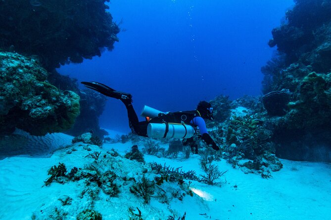Fun Dive Machine in Playa del Carmen or Cozumel-For Certificates - Price and Value: What $251 Includes (and What You Still Pay)
