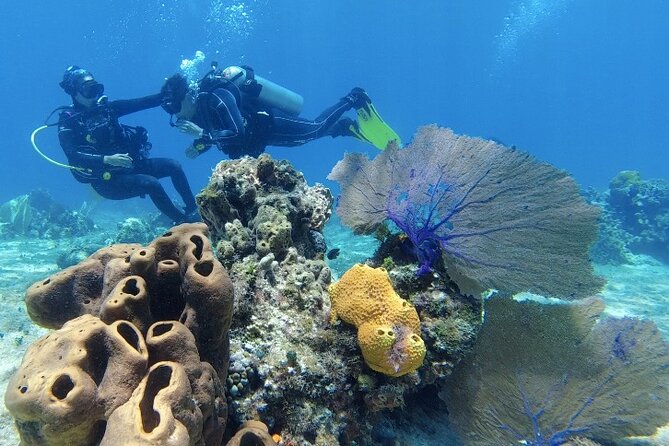 Fun Dive Machine in Playa del Carmen or Cozumel-For Certificates - Flying After Your Underwater Sessions: The 24-Hour Rule