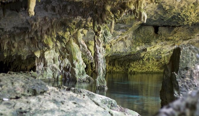 Go for 2 dives in cenote Dos ojos for certified divers - Two Sessions at Cenotes Dos Ojos: Barbie Line and Bat Cave
