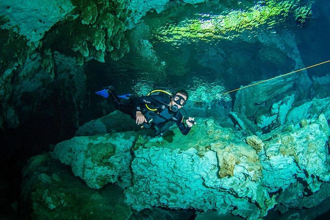 Go for 2 dives in cenote Dos ojos for certified divers - What You’ll See Underwater (and Why It Looks So Different)
