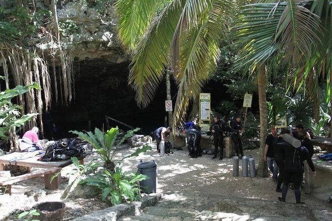 Go for 2 dives in cenote Dos ojos for certified divers - Who This Is Best For (Certified Scuba Participants)