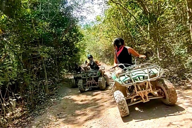 Half-day Adventure: Cenote + Ziplining + ATV Tour - Ziplining above the trees: the long span and the climb to it