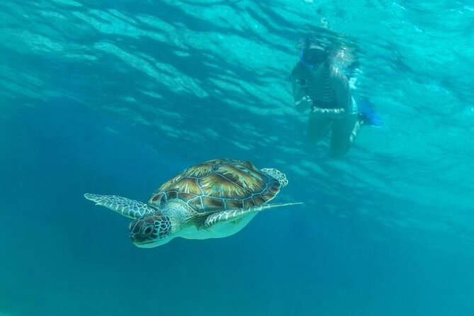 Half Day Luxury Sailing Experience in Riviera Maya with Open Bar - Paddle Boarding, Swimming, and the On-Boat Options