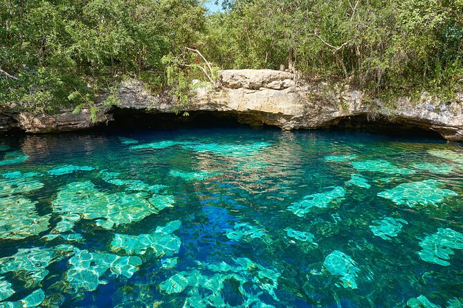 Half Day Private Snorkeling with Turtles and Majestic Cenotes - Akumal Beach Turtle Snorkeling: the part that makes it worth your time