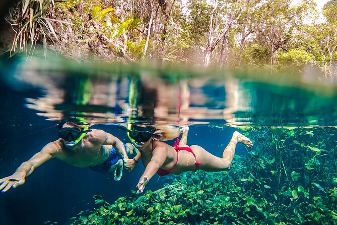Half Day Private Snorkeling with Turtles and Majestic Cenotes - Price and value: what $220 buys you in the real world