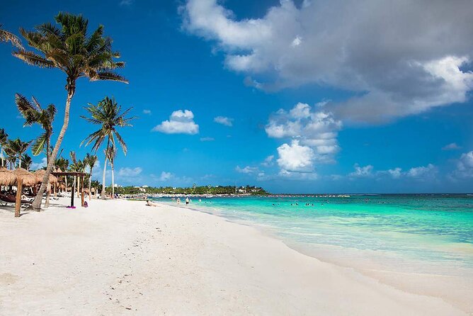 Half Day Private Snorkeling with Turtles and Majestic Cenotes - Should you book the Half Day Private Snorkeling with Turtles and Majestic Cenotes?