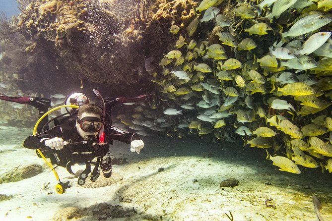 Half-Day Scuba Diving in Playa del Carmen for Small-Group - Equipment basics: tanks and weights included, so pack smart
