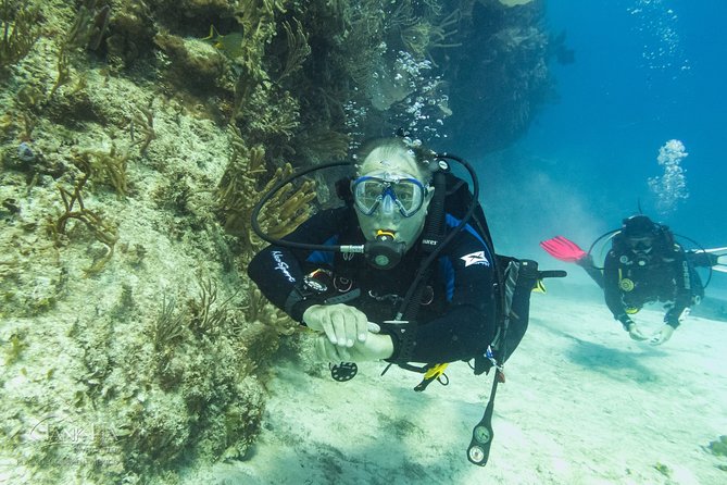 Half-Day Scuba Diving in Playa del Carmen for Small-Group - On the reefs: what you’ll look for (and what might show up)